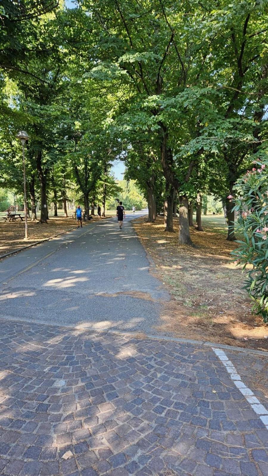 Appartamento Casa Nonna Maria Rimini Esterno foto